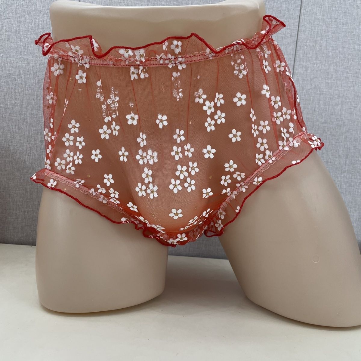 Mesh Men's Briefs Front Widene - Pouch Boxer Pouch review and price