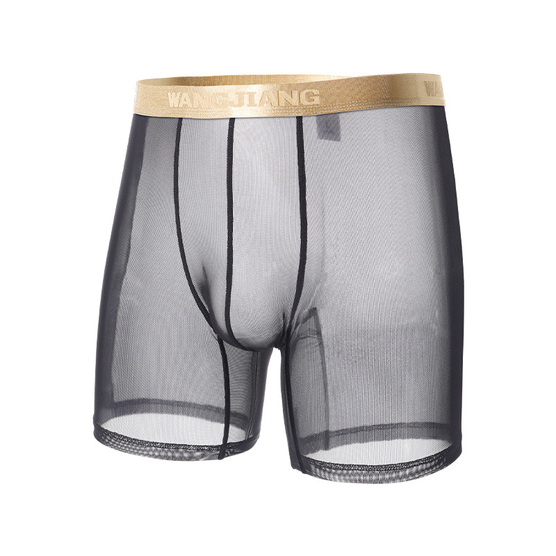Wangjiang Men's Mesh Boxer Sho - Mesh Sport Boxer review and price