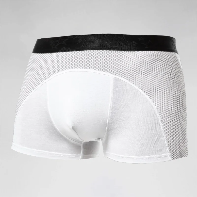 Men's underwear, men's ice sil - Mesh Sport Boxer review and price